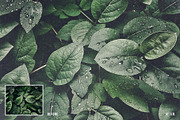 TEXTURIZER Grainy Photoshop Effect, a Templates & Theme by velvetmade.designs (Thumbnail 4 of 14)