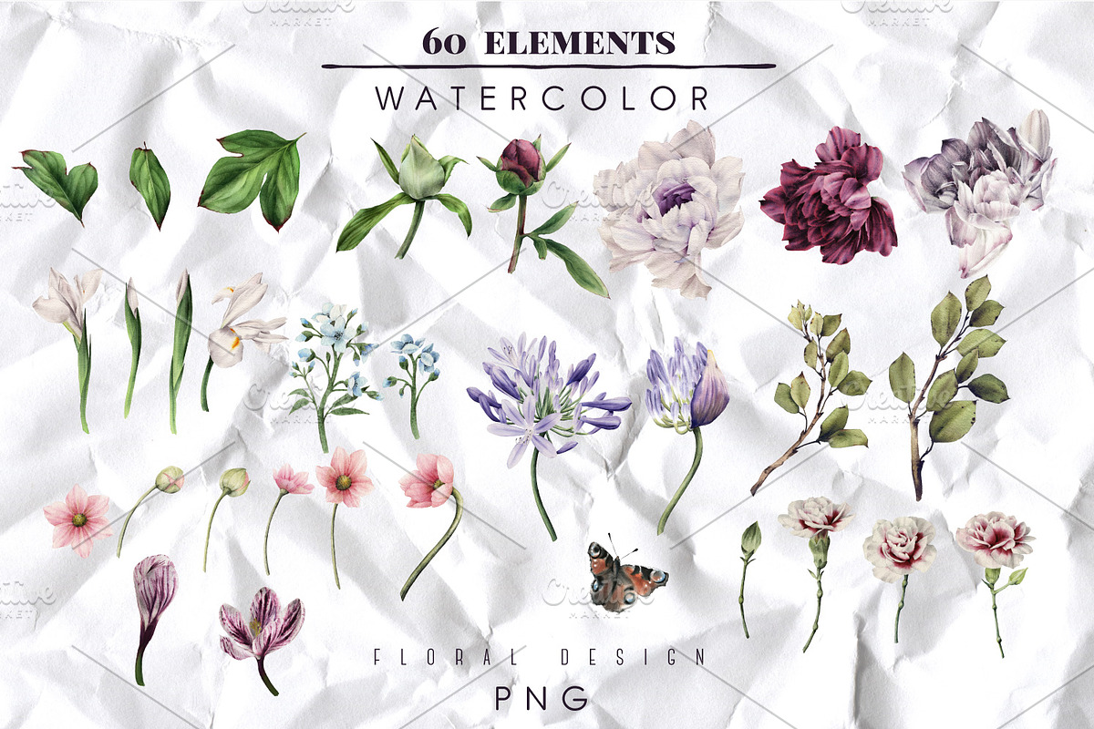 Big floral collection (PNG), a Decorative Illustration by ollalya (Photo 8 of 11)
