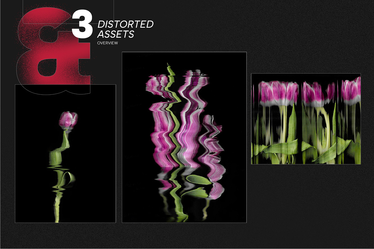 Scanned Tulip Photocopies, a Graphic by Pásha (Photo 4 of 5)