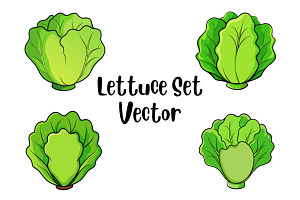 Lettuce Set Vector, a Food Illustration by Awieee1