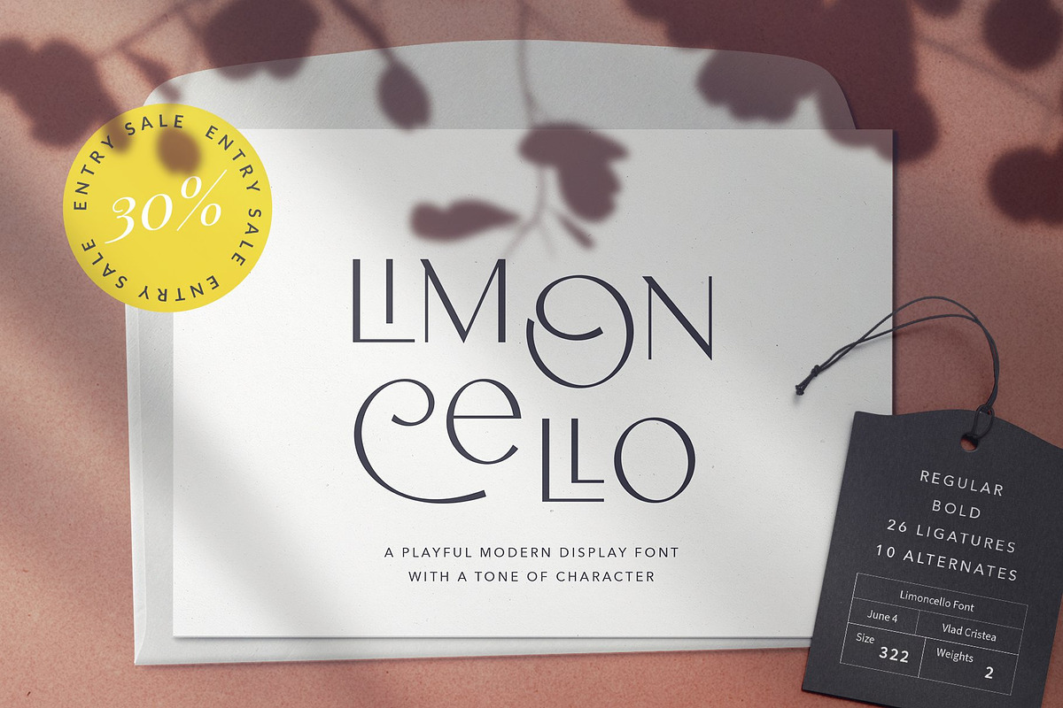 Handwritten Fonts and more Bundle, a Sans Serif Font by VladCristea (Photo 49 of 58)