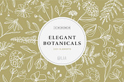 Elegant Botanicals | 100% Hand drawn, a Decorative Illustration by Olia (Thumbnail 1 of 14)