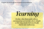 Amode Ethan Serif Font Family, a Serif Font by Ryul Davidson (Thumbnail 17 of 20)