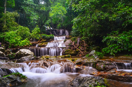 River with beautiful texture containing river, green, and nature, a Nature Photo by bastera
