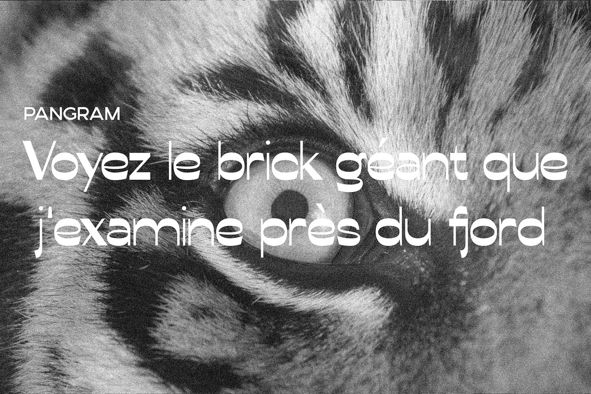 Conega Display Font, a Sans Serif Font by Hishand Studio (Photo 10 of 10)