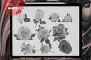 Acanthus Ornaments, Procreate Brush, a Brushes & More by Tattoo Worker Studio (Thumbnail 6 of 6)