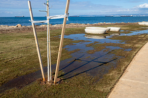 View of the new promenade, a Nature Photo by Imaginarium