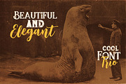 Jumbo Font Trio, a Script Font by Deeezy (Thumbnail 3 of 10)