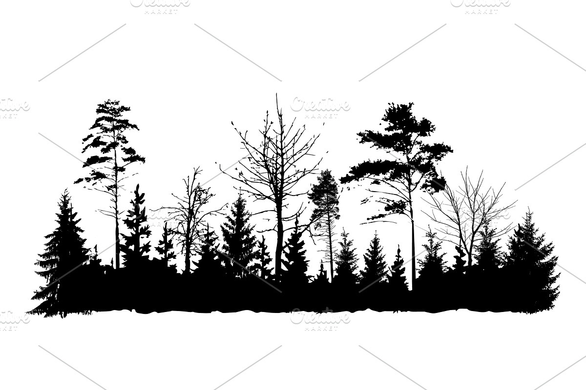 Forest silhouette. Minimalist pine, an Illustration by Nenahliadava Design