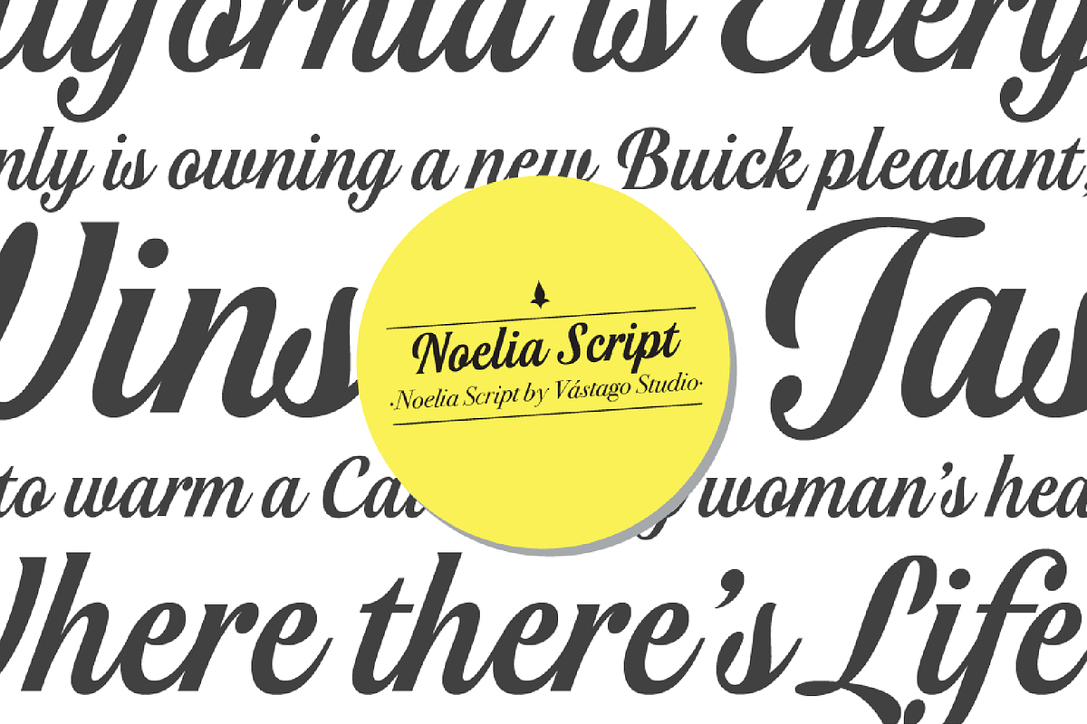 Noelia Script Pro, a Script Font by Vastago Studio (Photo 5 of 12)
