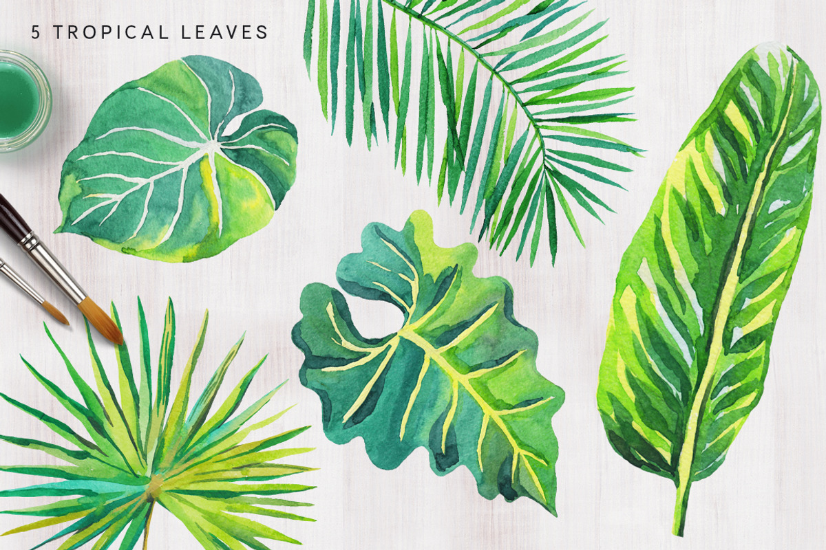Tropical palm leaves, an Illustration by OJardin (Photo 5 of 8)