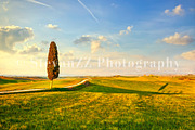 Tuscany Landscape Mini Bundle, a Nature Photo by Stefano Orazzini (Thumbnail 6 of 7)
