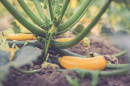 Vegetables Featuring Vegetables Market And Veggie preview 6