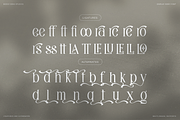 Firorah | Display Serif Font, a Serif Font by Denustudios (Thumbnail 11 of 11)
