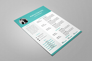 Blue Designer Resume