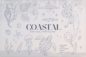Coastal Line art collection, an Object Graphic by Kreker Kate