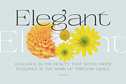 Beauty Entity - Stylish Serif, a Serif Font by Typeskets (Thumbnail 4 of 9)