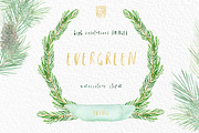 Pine. Watercolor clipart, an Illustration by LABFcreations (Thumbnail 2 of 9)