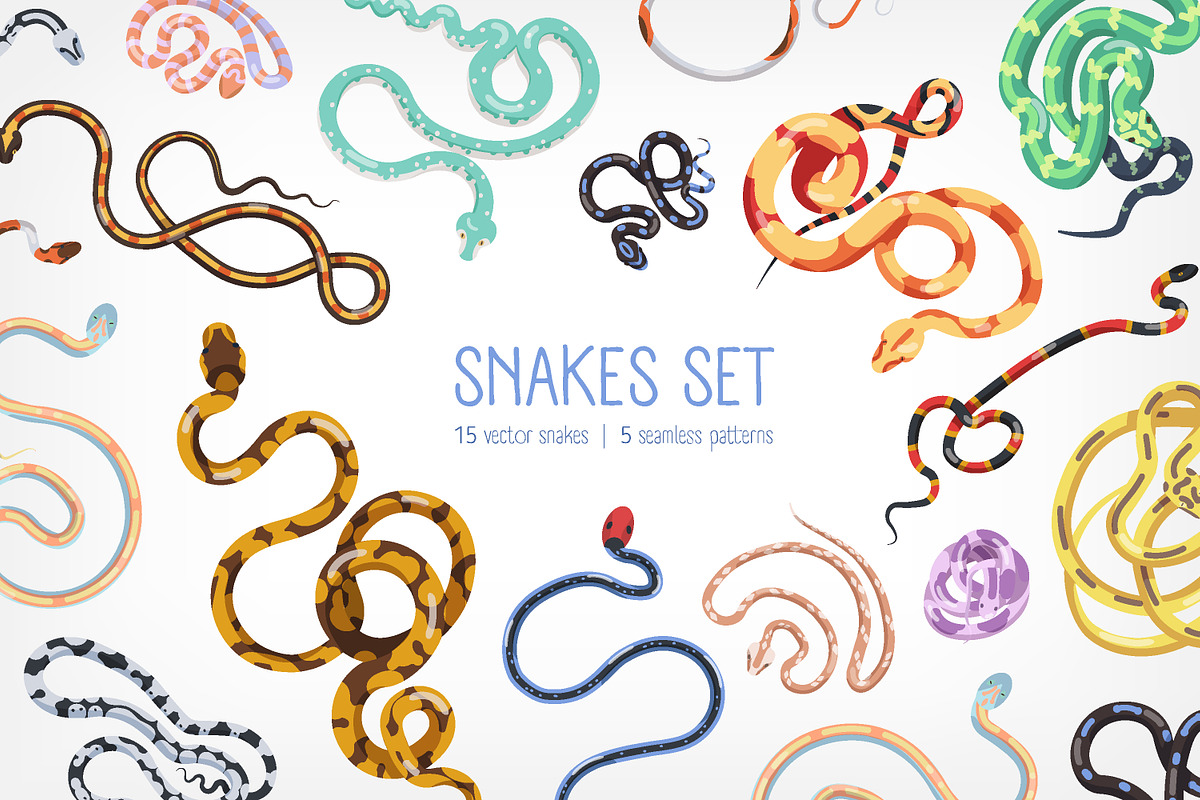 Snakes set and seamless, an Animal Illustration by Good Studio (Photo 1 of 10)