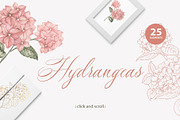 Sweet Roses and Hydrangeas, a Texture Illustration by Kotkoa (Thumbnail 4 of 14)