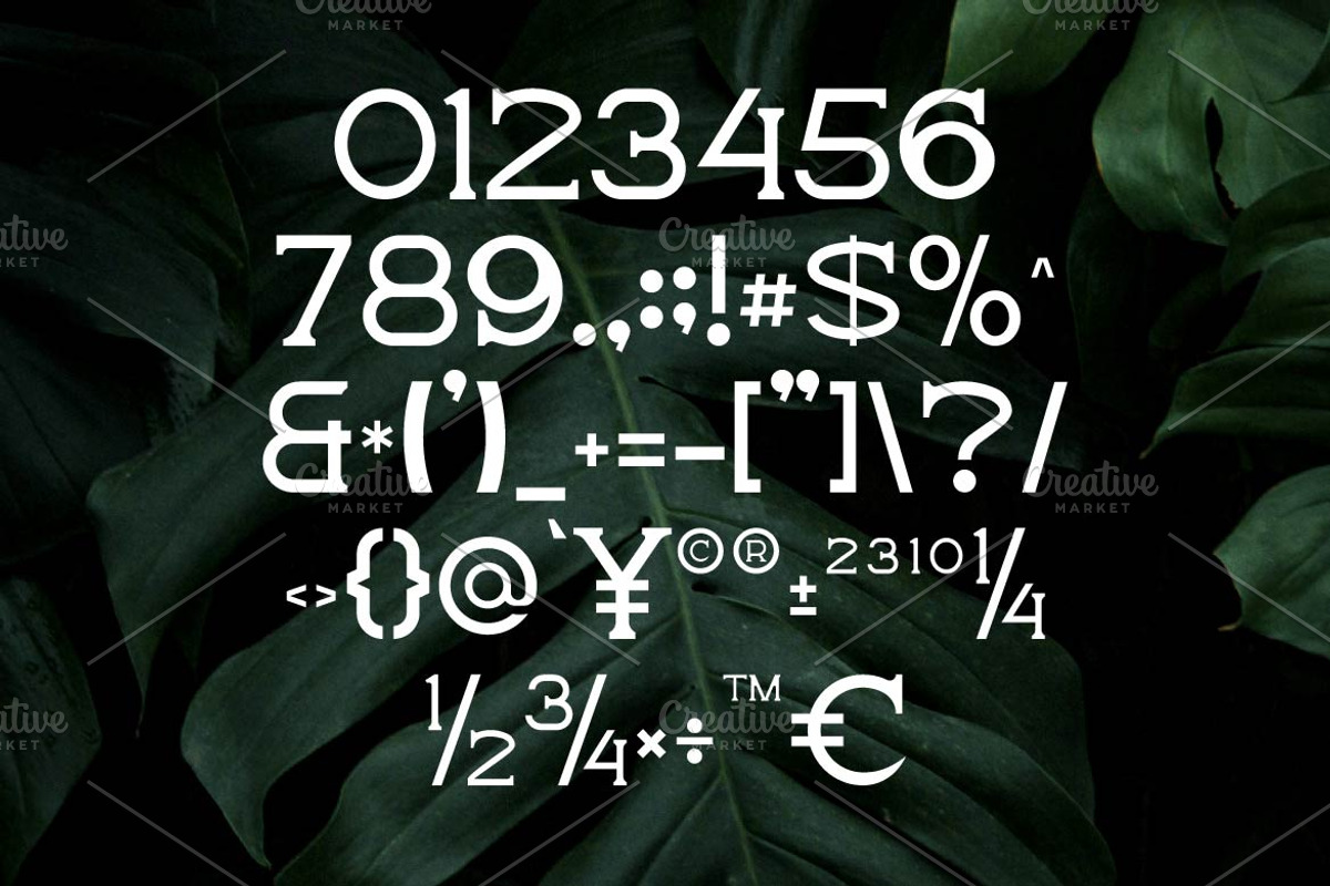 Boqda Elegant Serif Font, a Serif Font by Artiveko (Photo 5 of 8)