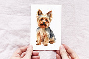 Yorkshire Terrier, an Animal Illustration by TheCuteShop (Thumbnail 3 of 4)