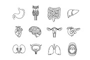 Internal Organs.Vector illlustration, a Healthcare Illustration by Tettygreen (Thumbnail 2 of 3)