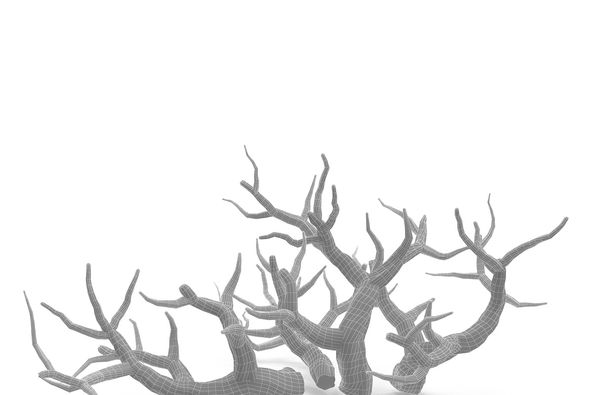 Aquarium Snag Banches V2, an Environmental 3D Model by AndrewWhite (Photo 8 of 8)
