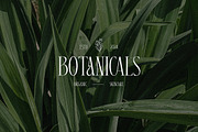 Alison Maskell Modern Serif, a Serif Font by Cruzine (Thumbnail 3 of 8)