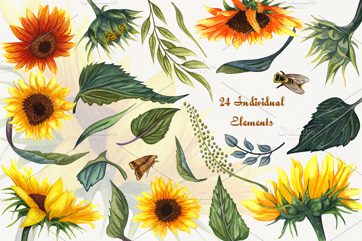 Sunflowers Watercolor Set, a Food Illustration by BarvArt (Photo 4 of 15)
