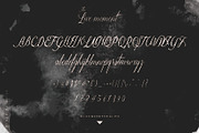 The Live Moment, a Script Font by Nowlystudios (Thumbnail 8 of 8)