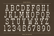 Erikoji | Retro Slab Serif, a Slab Serif Font by Denustudios (Thumbnail 13 of 16)