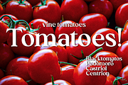 Madeline Forhes - Display Serif, a Serif Font by LuhopCreative (Thumbnail 11 of 16)