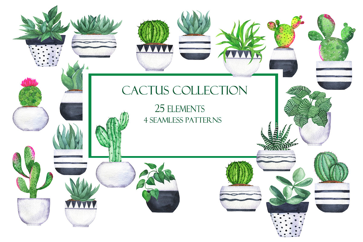 Cactus collection, an Illustration by Watercolor & sketches (Photo 1 of 7)