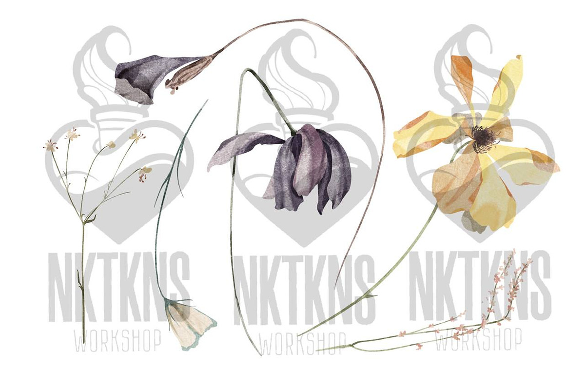 Dry Flowers Watercolor Clipart, a Decorative Illustration by NKTKNS (Photo 4 of 6)