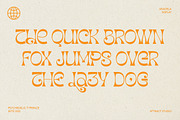 Aradela Display, a Serif Font by Attract Studio (Thumbnail 10 of 13)