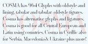 Cosma, a Serif Font by Wiescher-Design (Thumbnail 4 of 11)