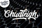 Telford Town - Bold Script Font, a Script Font by Mayofont (Thumbnail 2 of 11)