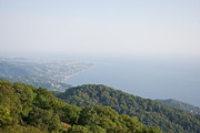 Mountain View, forested. preview 3