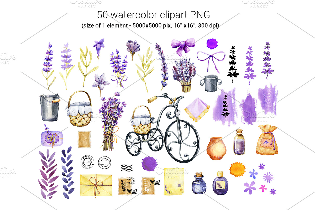 Provence Lavender watercolor clipart, a Decorative Illustration by Artmanata (Photo 2 of 14)