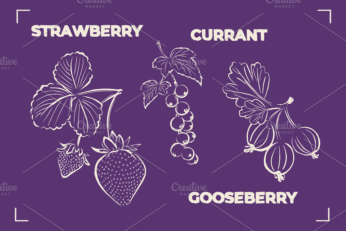 BERRY LINE ART SET (20 elements), a Food Illustration by Bonfloret Studio (Photo 2 of 9)