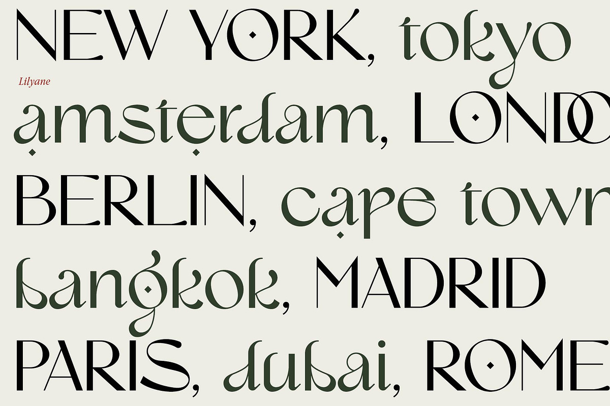 Lilyane - A Lovely Font, a Serif Font by StudioinBry (Photo 3 of 12)