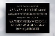 Aerisa || Modern & Luxury Serif Font, a Serif Font by Idea Studio (Thumbnail 10 of 10)