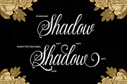 Bentara Script, a Script Font by Alpha Bento (Thumbnail 3 of 12)
