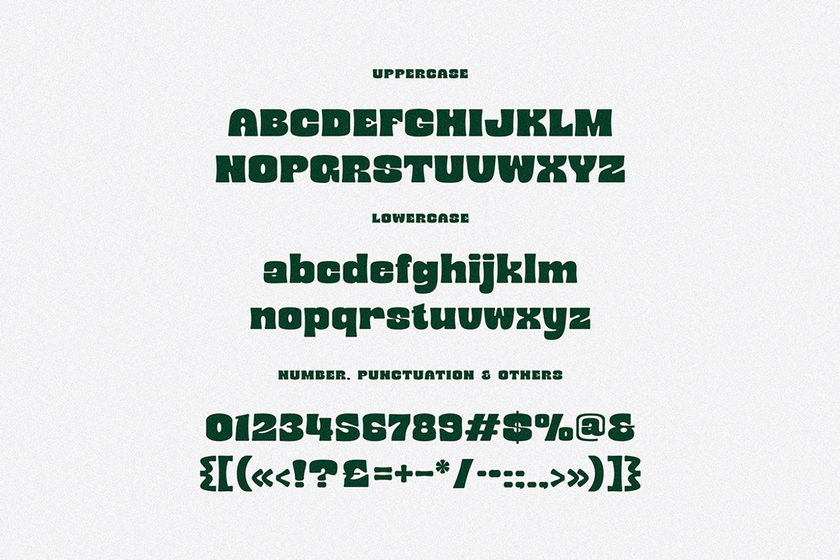 Mibery Retro Bold Serif, a Serif Font by Cruzine (Photo 7 of 10)
