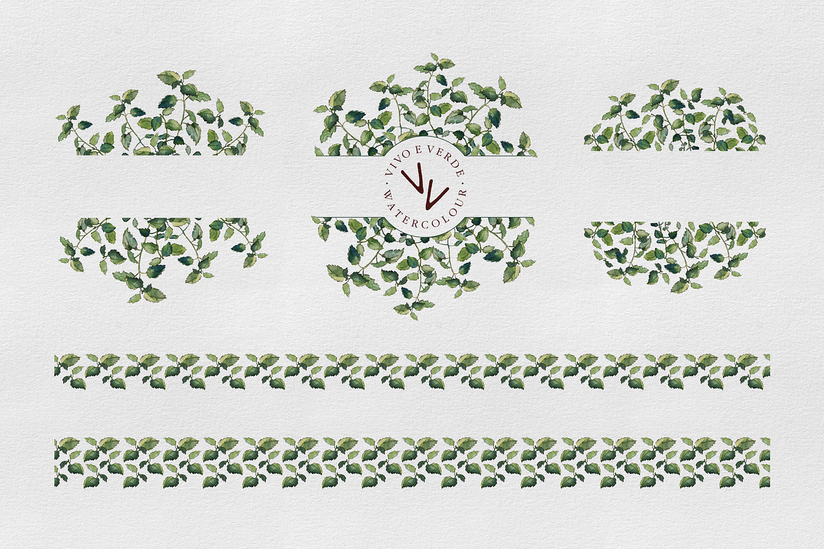 Melissa: watercolor floral elements, an Illustration by vivo e verde (Photo 3 of 11)