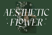 Ciparay, a Serif Font by HATFSTUDIO (Thumbnail 2 of 9)