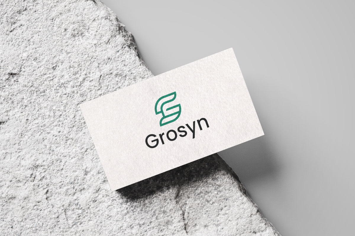 Minimal Lettermark GS Logo Design
