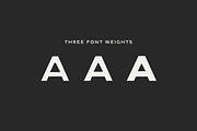 Milne - A Bold Sans Serif, a Sans Serif Font by Cassandra Cappello (Thumbnail 2 of 11)