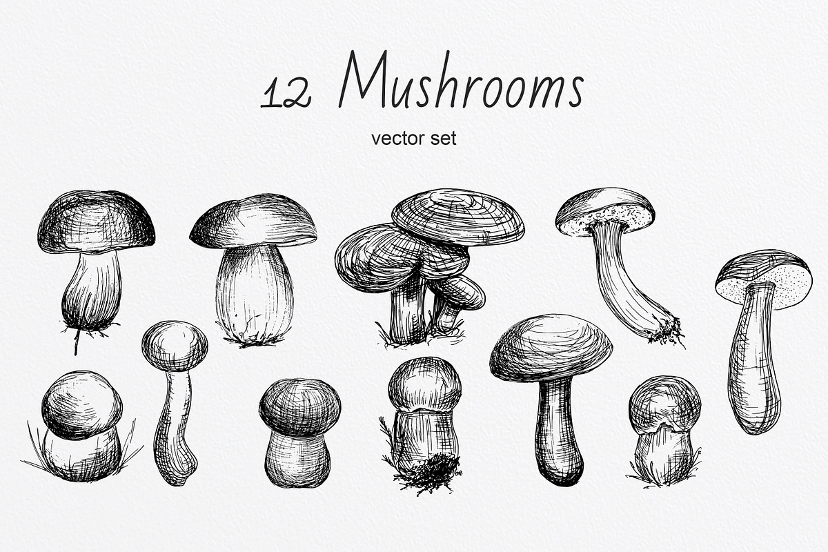 Set of Edble Hand Drawn Mushrooms, an Object Graphic by NataliArkushArt (Photo 3 of 4)